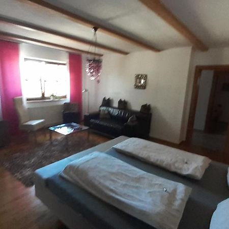 Top Apartment Henndorf am Wallersee Εξωτερικό φωτογραφία