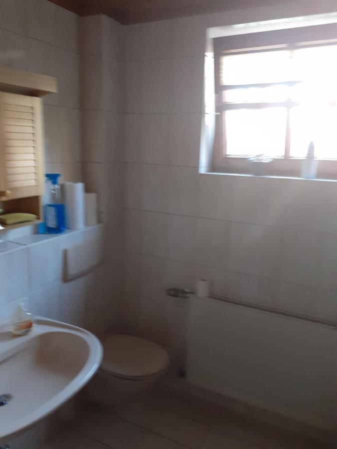 Top Apartment Henndorf am Wallersee Εξωτερικό φωτογραφία